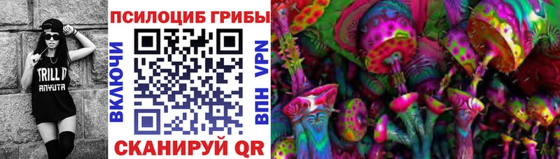 МЕГА tor Балахна Галлюциногенные грибы прущие грибы где найти