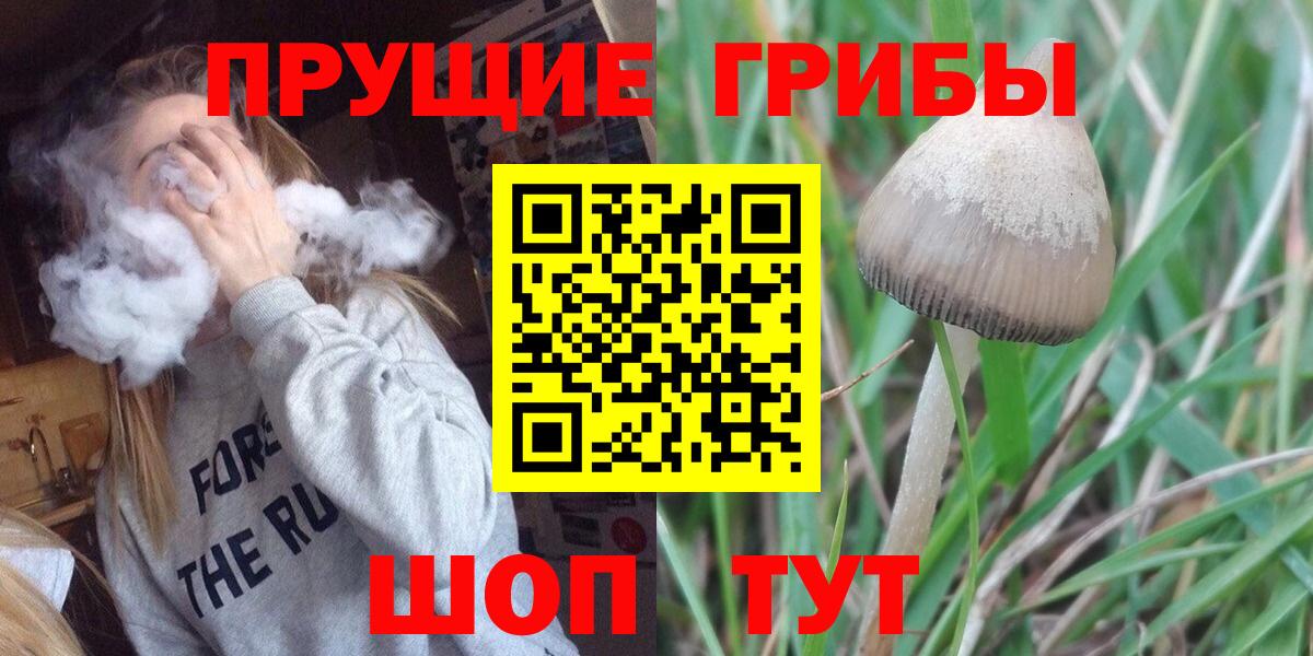 наркошоп  Вход с VPN  Балахна  Галлюциногенные грибы Psilocybe 