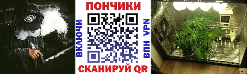 даркнет наркотические препараты  блэк спрут ССЫЛКА  Балахна  Бошки Шишки VHQ 